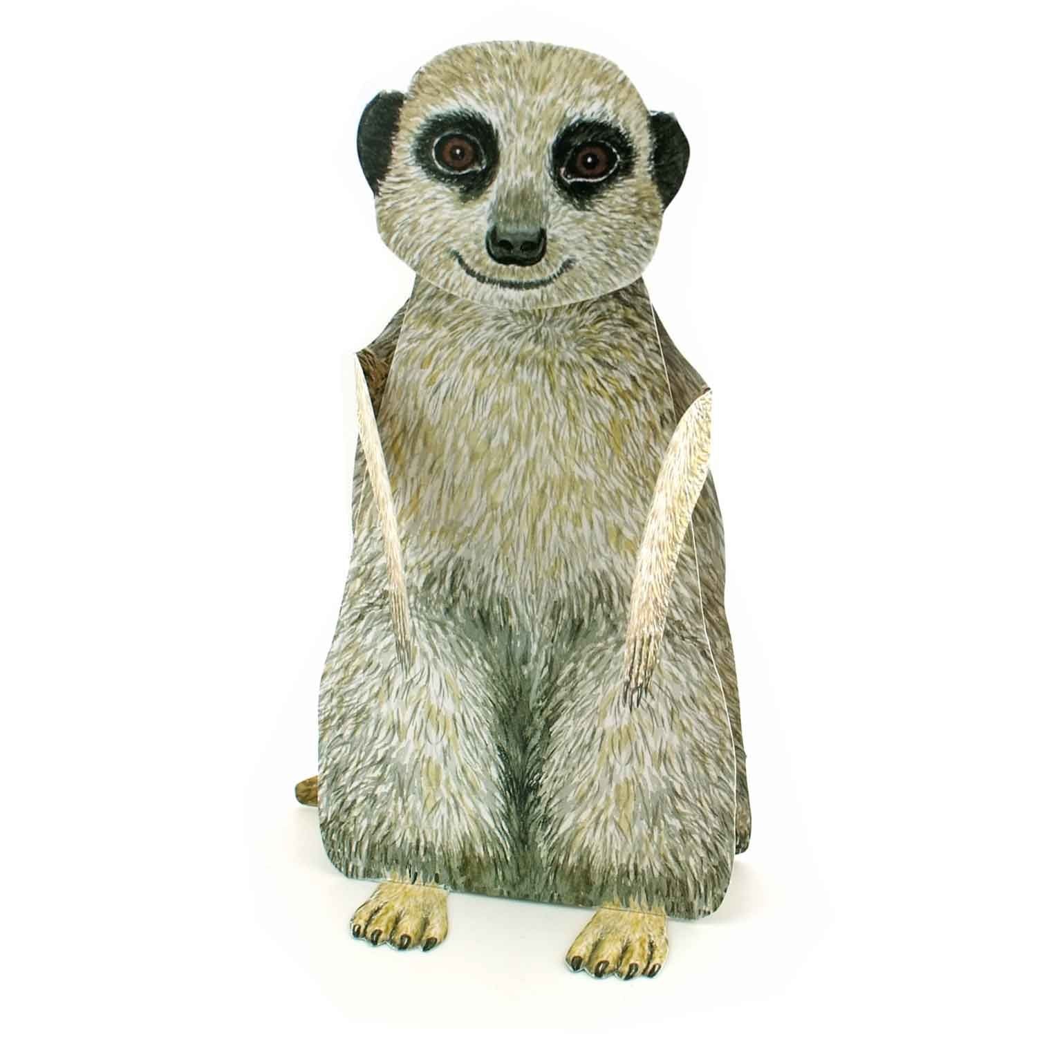 Carte pliante animal 3D "Suricate"