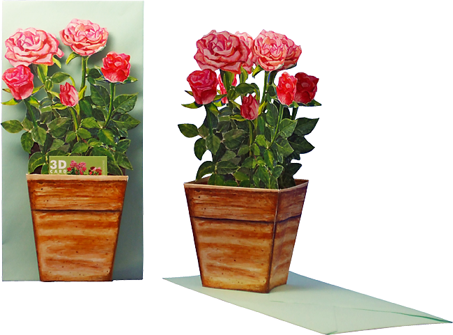 Carte pot de fleurs 3D "Roses"